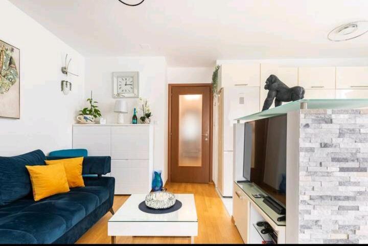 Apartman Safari Apartment