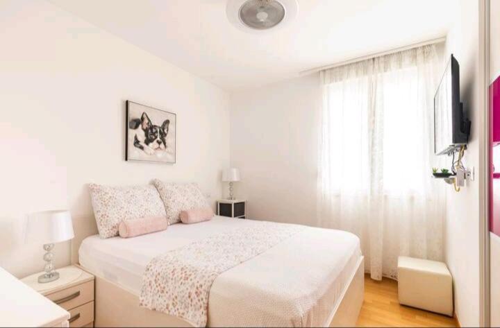Apartman Safari Apartment